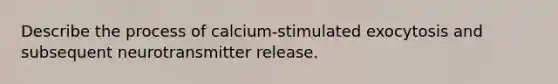 Describe the process of calcium-stimulated exocytosis and subsequent neurotransmitter release.