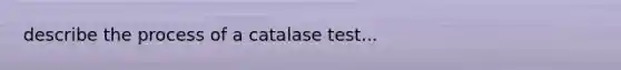 describe the process of a catalase test...