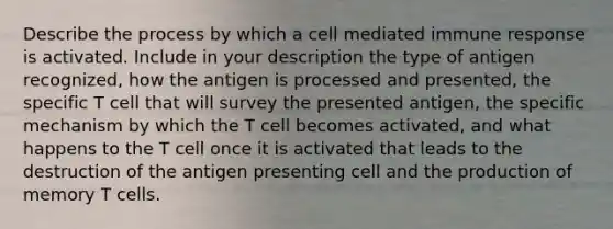 Describe the process by which a cell mediated immune response is activated. Include in your description the type of antigen recognized, how the antigen is processed and presented, the specific T cell that will survey the presented antigen, the specific mechanism by which the T cell becomes activated, and what happens to the T cell once it is activated that leads to the destruction of the antigen presenting cell and the production of memory T cells.