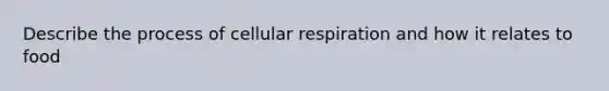 Describe the process of cellular respiration and how it relates to food