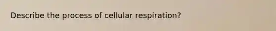 Describe the process of cellular respiration?