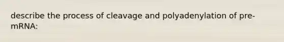 describe the process of cleavage and polyadenylation of pre-mRNA: