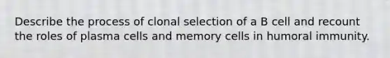 Describe the process of clonal selection of a B cell and recount the roles of plasma cells and memory cells in humoral immunity.