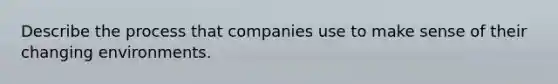 Describe the process that companies use to make sense of their changing environments.