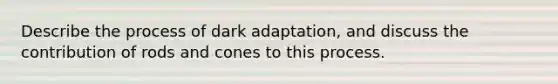 Describe the process of dark adaptation, and discuss the contribution of rods and cones to this process.