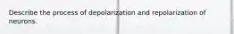 Describe the process of depolarization and repolarization of neurons.