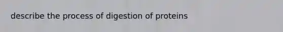 describe the process of digestion of proteins