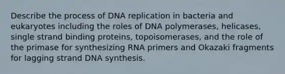 Describe the process of DNA replication in bacteria and eukaryotes including the roles of DNA polymerases, helicases, single strand binding proteins, topoisomerases, and the role of the primase for synthesizing RNA primers and Okazaki fragments for lagging strand DNA synthesis.