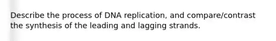 Describe the process of DNA replication, and compare/contrast the synthesis of the leading and lagging strands.