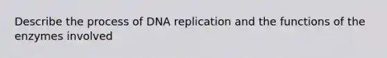 Describe the process of <a href='https://www.questionai.com/knowledge/kofV2VQU2J-dna-replication' class='anchor-knowledge'>dna replication</a> and the functions of the enzymes involved