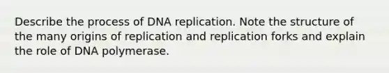 Describe the process of DNA replication. Note the structure of the many origins of replication and replication forks and explain the role of DNA polymerase.