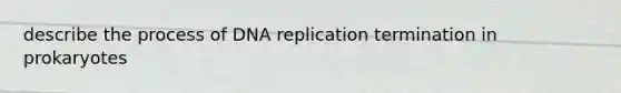 describe the process of DNA replication termination in prokaryotes