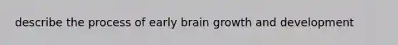 describe the process of early brain growth and development