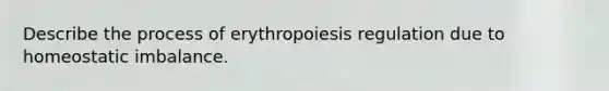 Describe the process of erythropoiesis regulation due to homeostatic imbalance.