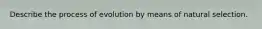 Describe the process of evolution by means of natural selection.