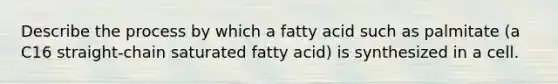 Describe the process by which a fatty acid such as palmitate (a C16 straight-chain saturated fatty acid) is synthesized in a cell.