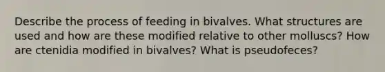 Describe the process of feeding in bivalves. What structures are used and how are these modified relative to other molluscs? How are ctenidia modified in bivalves? What is pseudofeces?