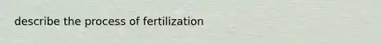 describe the process of fertilization