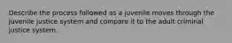 Describe the process followed as a juvenile moves through the juvenile justice system and compare it to the adult criminal justice system.