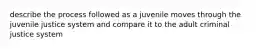 describe the process followed as a juvenile moves through the juvenile justice system and compare it to the adult criminal justice system