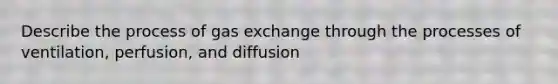 Describe the process of gas exchange through the processes of ventilation, perfusion, and diffusion