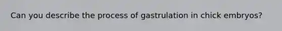 Can you describe the process of gastrulation in chick embryos?