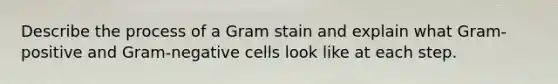 Describe the process of a Gram stain and explain what Gram-positive and Gram-negative cells look like at each step.