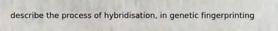 describe the process of hybridisation, in genetic fingerprinting