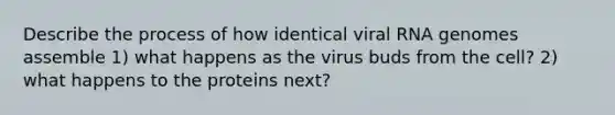 Describe the process of how identical viral RNA genomes assemble 1) what happens as the virus buds from the cell? 2) what happens to the proteins next?