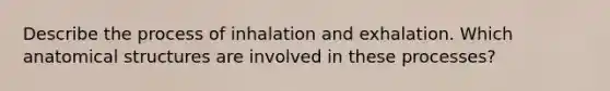 Describe the process of inhalation and exhalation. Which anatomical structures are involved in these processes?