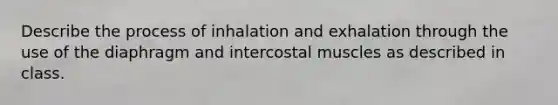 Describe the process of inhalation and exhalation through the use of the diaphragm and intercostal muscles as described in class.