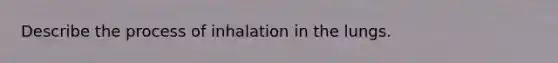 Describe the process of inhalation in the lungs.