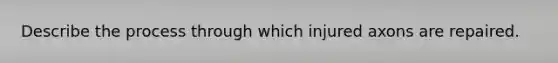 Describe the process through which injured axons are repaired.