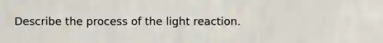 Describe the process of the light reaction.