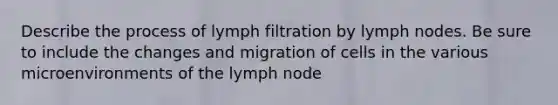 Describe the process of lymph filtration by lymph nodes. Be sure to include the changes and migration of cells in the various microenvironments of the lymph node