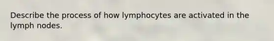 Describe the process of how lymphocytes are activated in the lymph nodes.