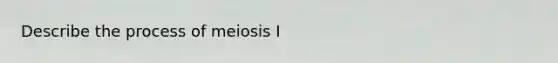 Describe the process of meiosis I