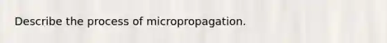 Describe the process of micropropagation.