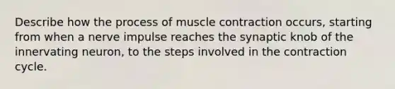 Describe how the process of muscle contraction occurs, starting from when a nerve impulse reaches the synaptic knob of the innervating neuron, to the steps involved in the contraction cycle.