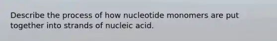 Describe the process of how nucleotide monomers are put together into strands of nucleic acid.