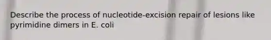 Describe the process of nucleotide-excision repair of lesions like pyrimidine dimers in E. coli