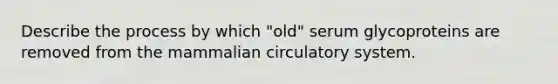 Describe the process by which "old" serum glycoproteins are removed from the mammalian circulatory system.