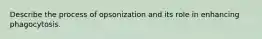 Describe the process of opsonization and its role in enhancing phagocytosis.