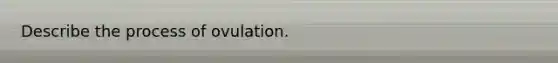 Describe the process of ovulation.