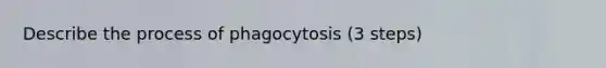 Describe the process of phagocytosis (3 steps)