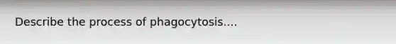 Describe the process of phagocytosis....