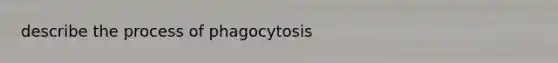 describe the process of phagocytosis