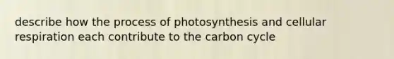 describe how the process of photosynthesis and cellular respiration each contribute to the carbon cycle