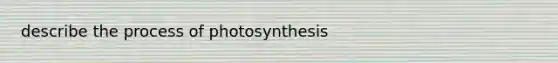 describe the process of photosynthesis