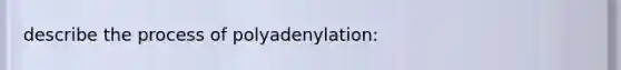 describe the process of polyadenylation: